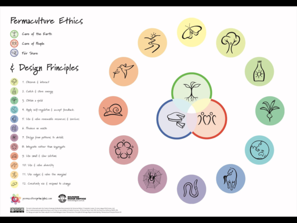 What Are The 12 Permaculture Principles? – ViNE Permaculture